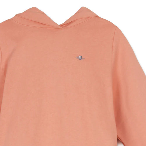 Hoodie Gant