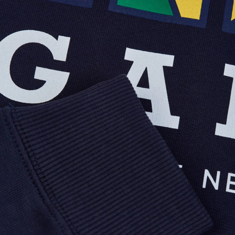 Hoodie Gant